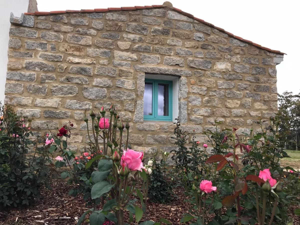B&B Li Tauli Arzachena Exterior photo