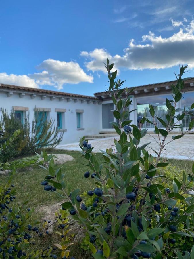 B&B Li Tauli Arzachena Exterior photo