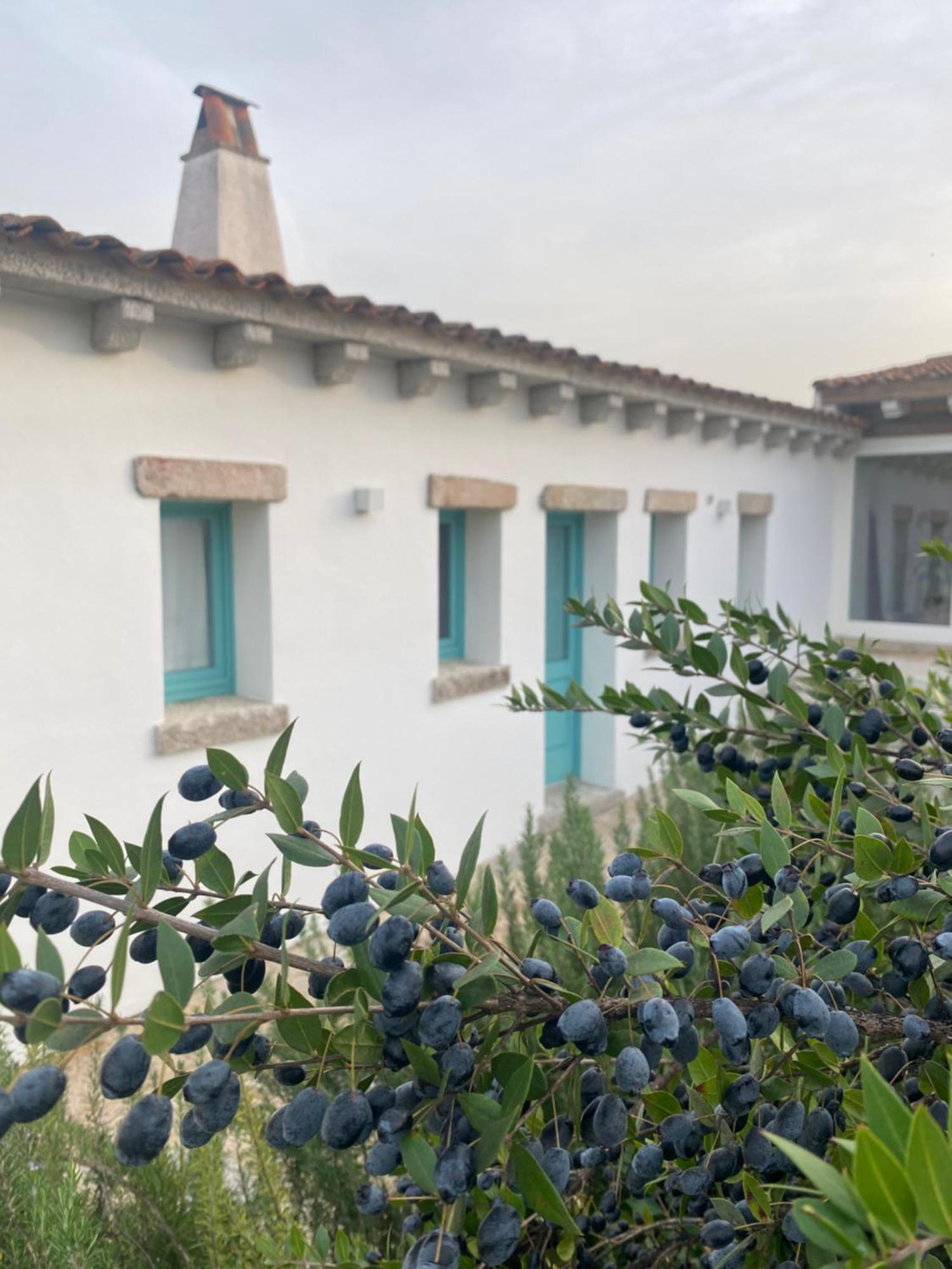 B&B Li Tauli Arzachena Exterior photo